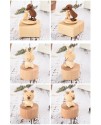 木制 動物款 旋轉音樂盒 MUSIC BOX (單個)
